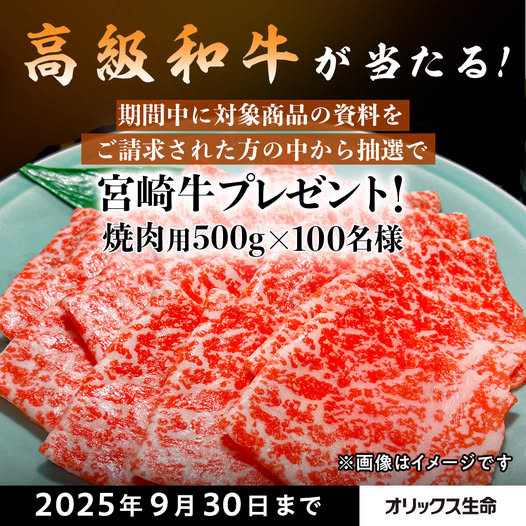 オリックス生命保険株式会社